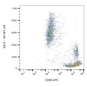 Surface staining of human peripheral blood cells with anti-human CD99 APC.