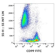 Surface staining of human peripheral blood cells using CD99 Antibody (FITC).