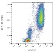 Surface staining of human peripheral blood cells with anti-CD10 PE.