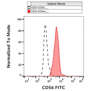 Surface staining of human peripheral blood with CD56 Antibody (FITC).