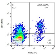 Flow cytometry analysis of Surface staining of human peripheral blood using CD73 Antibody (FITC).