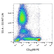 Surface staining of human peripheral blood using CD45RB Antibody (PE).