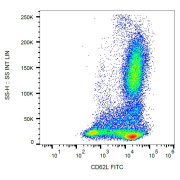 Surface staining of CD62L in human peripheral blood with CD62L Antibody (FITC).