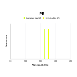 Signaling Lymphocytic Activation Molecule Family Member 1 / CD150 (SLAMF1) Antibody (PE)