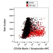 Surface staining of TNF alpha-stimulated HUVEC cells using CD106 Antibody (Biotin), GAM-APC.