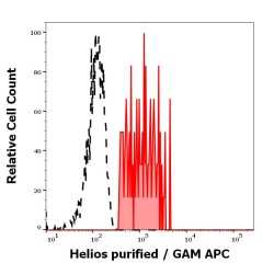 Hamster Helios Antibody