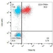 Intracellular staining of human peripheral blood with mAb PE.