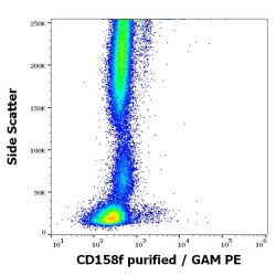 CD158f Antibody