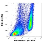 Flow cytometry surface staining pattern of murine bone marrow cells using FITC-conjugated Lymphocyte antigen 6G (Ly6G) Antibody (0.5 mg/ml).