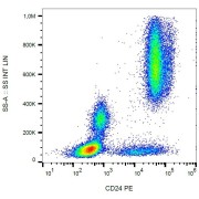 Surface staining of human peripheral blood cells with anti-human CD24 PE.