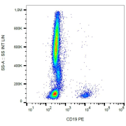 Surface staining of human peripheral blood leukocytes with anti-human CD19 PE.