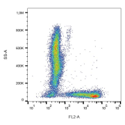 Surface staining of human peripheral blood with anti-human CD7 Antibody (PE).