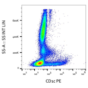 Surface staining of human peripheral blood cells with human CD1c Antibody (PE).