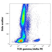 Flow cytometry surface staining of Human peripheral whole blood using TCR gamma/delta PE antibody (10 µl/100 µl of peripheral whole blood).