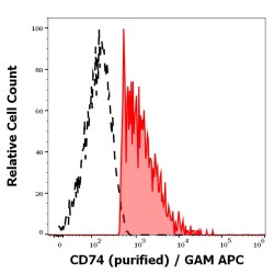 HLA Class II Histocompatibility Antigen Gamma Chain (CD74) Antibody