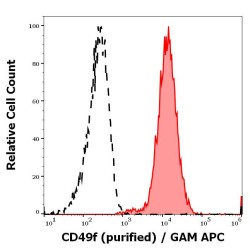 Integrin subunit alpha 6 (CD49f) Antibody