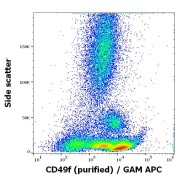 Flow cytometry surface staining of Human peripheral whole blood using CD49f antibody (1.7 µg/ml).