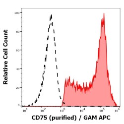 Lactosamine (CD75) Antibody