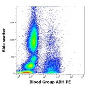 Flow cytometry surface staining of Human peripheral whole blood using Human Blood Group ABH PE antibody (5 µg/ml).