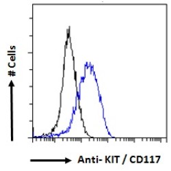 Mast/Stem Cell Growth Factor Receptor Kit (KIT) Antibody