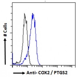 Prostaglandin G/H Synthase 2 / COX-2 (PTGS2) Antibody