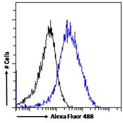 Arachidonate 5-Lipoxygenase-Activating Protein (ALOX5AP) Antibody