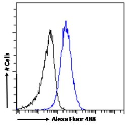 Migration Inhibitory Factor-Related Protein 8 (MRP8) Antibody