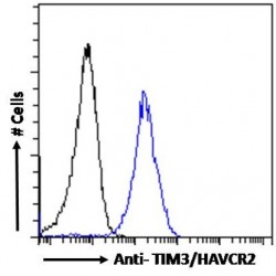 Hepatitis A Virus Cellular Receptor 2 (HAVCR2) Antibody