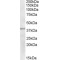 Thioredoxin-Like Protein 2 (TXL2) Antibody