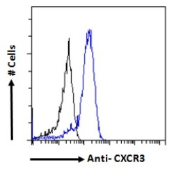 Chemokine C-X-C-Motif Receptor 3 (CXCR3) Antibody