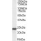 High Mobility Group Protein B3 (HMGB3) Antibody