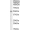 Transcriptional Enhancer Factor TEF-4 (TEAD2) Antibody