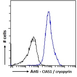 NACHT, LRR And PYD Domains-Containing Protein 3 (CIAS1) Antibody