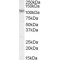 Mastermind Like Transcriptional Coactivator 1 (MAML1) Antibody