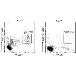 NKG2-D Type II Integral Membrane Protein (NKG2D) Antibody