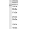 Centaurin-Beta-2 (CENTB2) Antibody