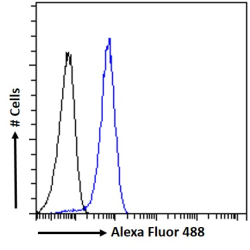 IPL Antibody