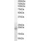 Baculoviral IAP Repeat-Containing Protein 5 (BIRC5) Antibody