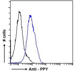 Pancreatic Polypeptide Antibody