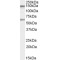 Caspase Recruitment Domain Family Member 11 (CARD11) Antibody