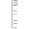 Alpha Actinin 1 (ACTN1) Antibody