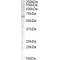 Activin Receptor Type-1 (ACVR1) Antibody