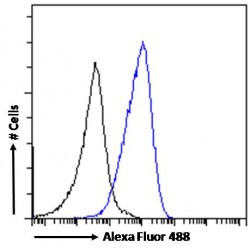 Myeloid Differentiation Primary Response Protein MyD88 (MYD88) Antibody