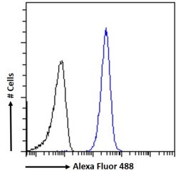 Peroxisome Proliferator Activated Receptor Gamma Coactivator 1 Alpha (PPARGC1A) Antibody