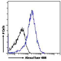 Methylcytosine Dioxygenase (TET2) Antibody