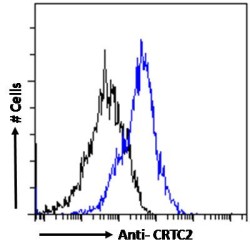 CREB-Regulated Transcription Coactivator 2 (CRTC2) Antibody