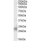 ADP-Ribosylation Factor-Like Protein 4D (ARL4D) Antibody