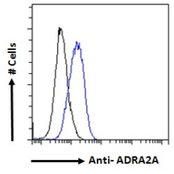 Alpha 2A Adrenergic Receptor (ADRA2A) Antibody