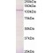 Breast Cancer Anti-Estrogen Resistance Protein 3 (BCAR3) Antibody