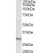 Dual Adaptor of Phosphotyrosine And 3-Phosphoinositides 1 (DAPP1) Antibody